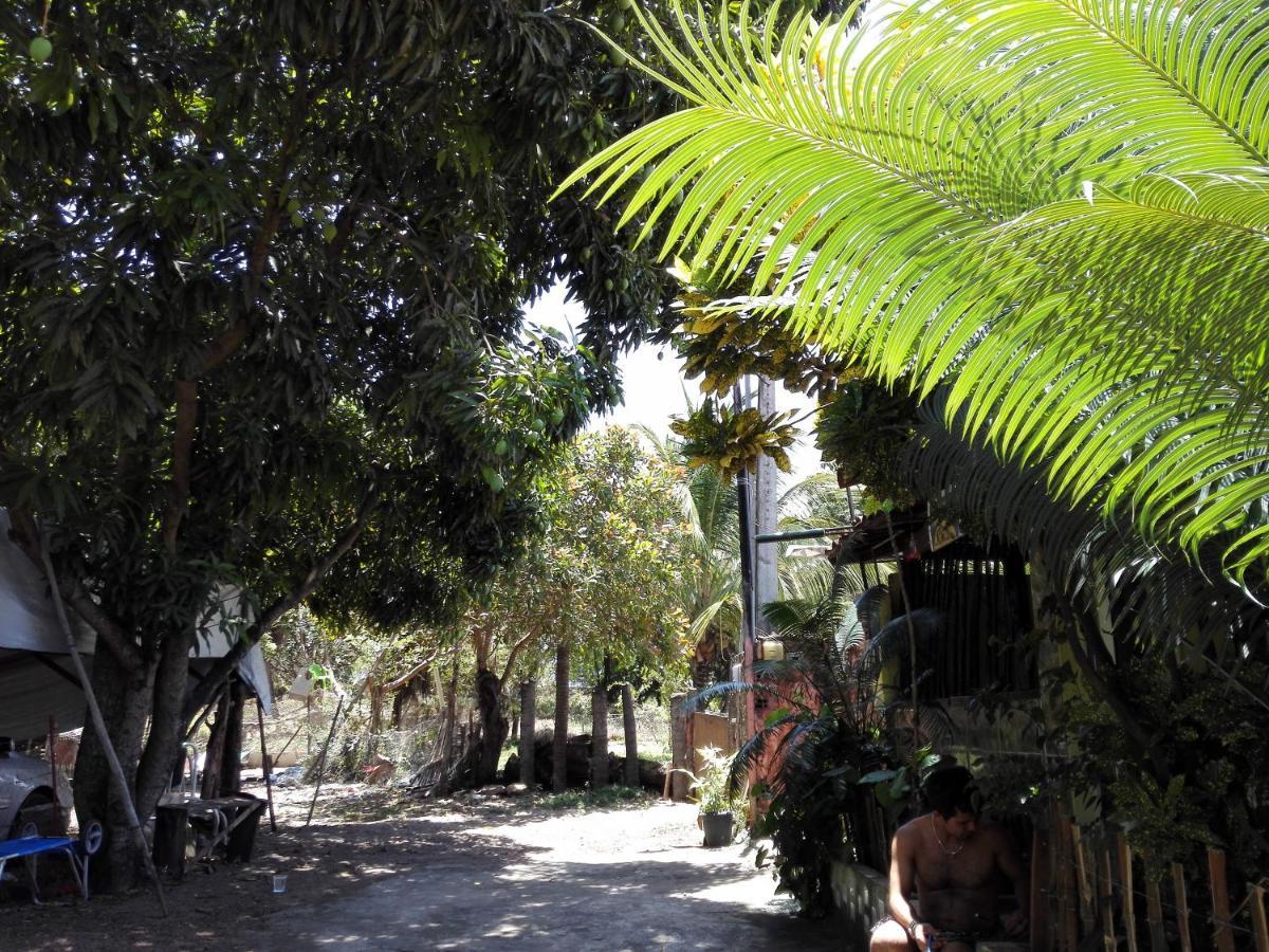 Hostel Terra Viva Praia de Pipa Экстерьер фото